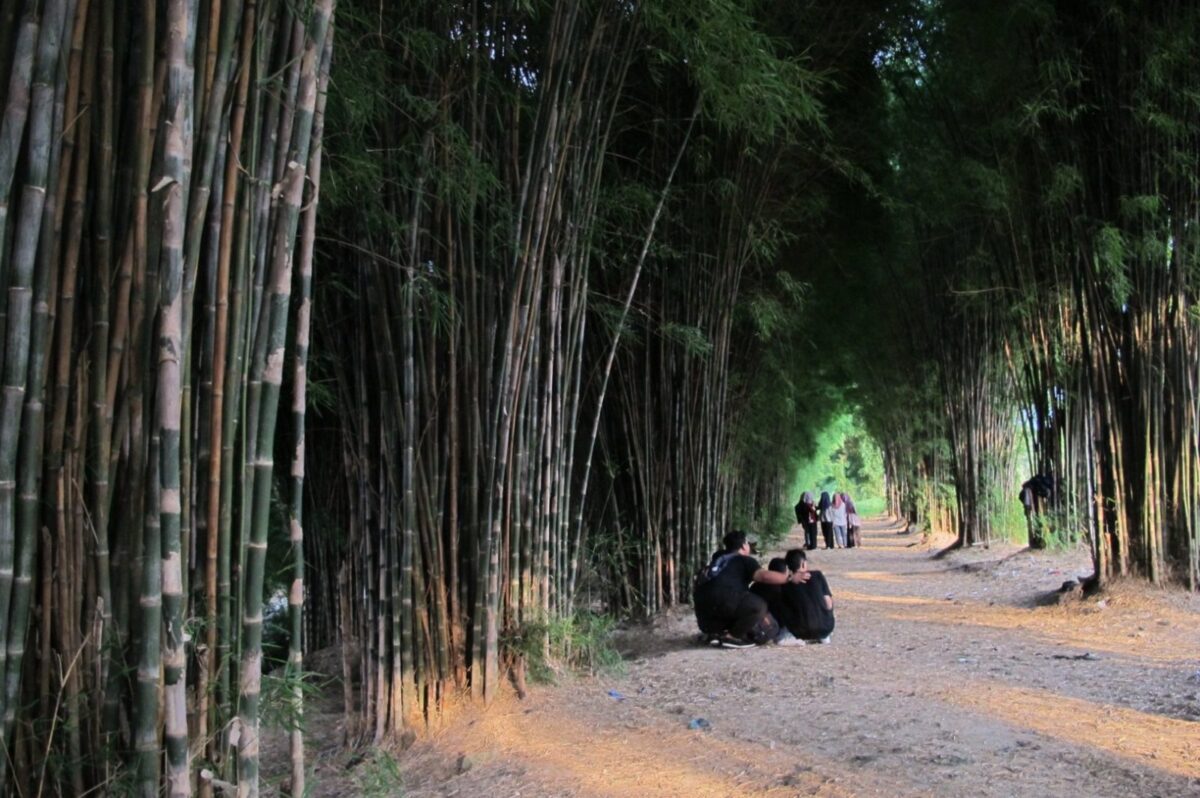 Hutan Bambu Surabaya Kesejukan Di Tengah Kota Desember