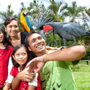 Harga Tiket Masuk - HTM Bali Bird Park