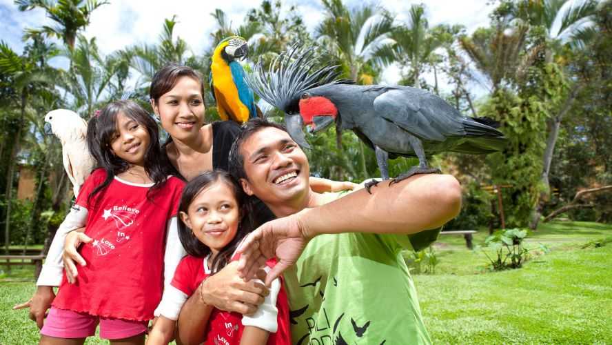 Harga Tiket Masuk - HTM Bali Bird Park