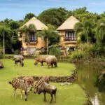 Bali Safari Marine Park Mara River Lodge