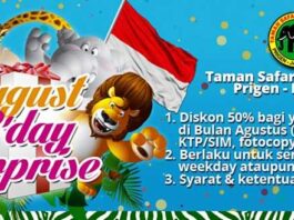 Buat yang berulang tahun di Bulan Agustus bisa menikmati kejutan diskon 50% Tiket Masuk Taman Safari Prigen Pasuruan