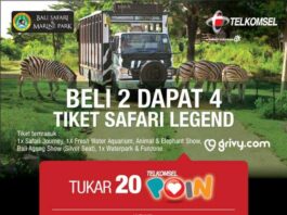 Bali Safari Promo Telkomsel Poin Buy 2 Get 4 dengan menukar 20 poin Telkomsel di *700*710#