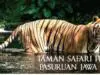 Taman Safari Prigen Pasuruan Jawa Timur