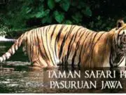 Taman Safari Prigen Pasuruan Jawa Timur