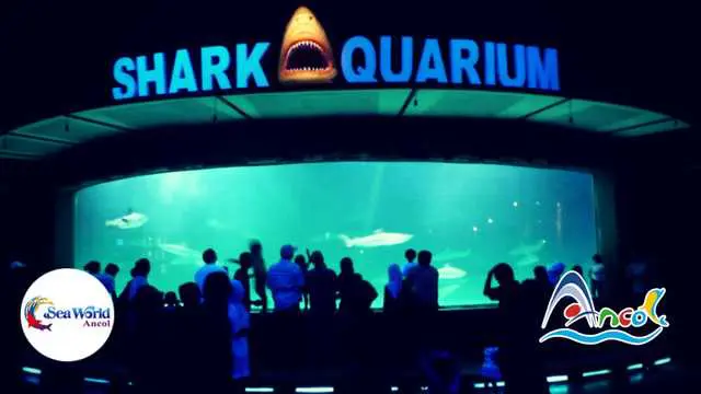 Seaworld Ancol