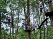 Bandung Treetop Adventure Park