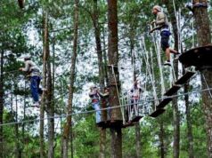 Bandung Treetop Adventure Park