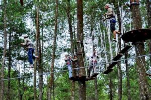 Bandung Treetop Adventure Park