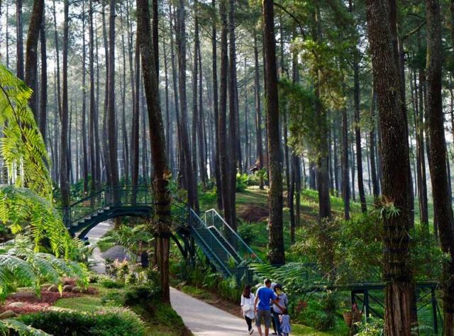 Orchid Forest Cikole Lembang