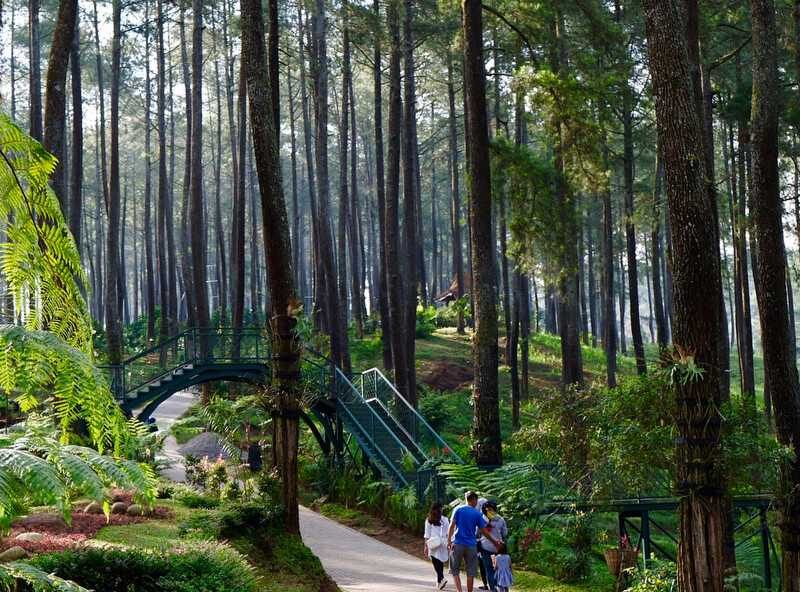 Orchid Forest Cikole Lembang