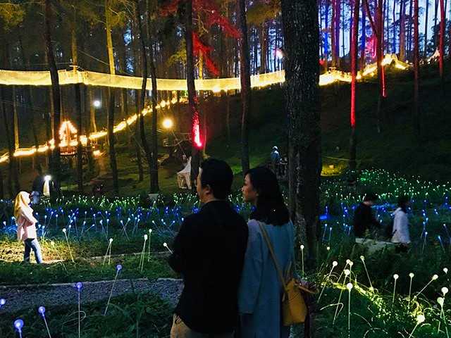 ORCHID FOREST Cikole Tiket & 6 Aktivitas Pilihan Agustus 2020 - TravelsPromo