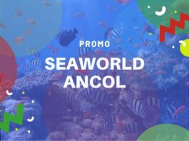 Promo Seaworld Ancol