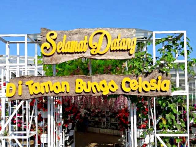 Taman Bunga Celosia Tiket 6 Spot Selfie Keren November 2020 Travelspromo