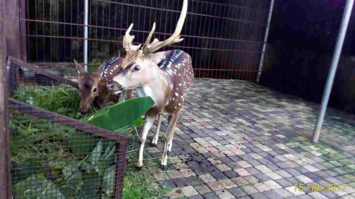 GRAND SPLASH WATERPARK Tiket, Wahana dan Fasilitas September 2024