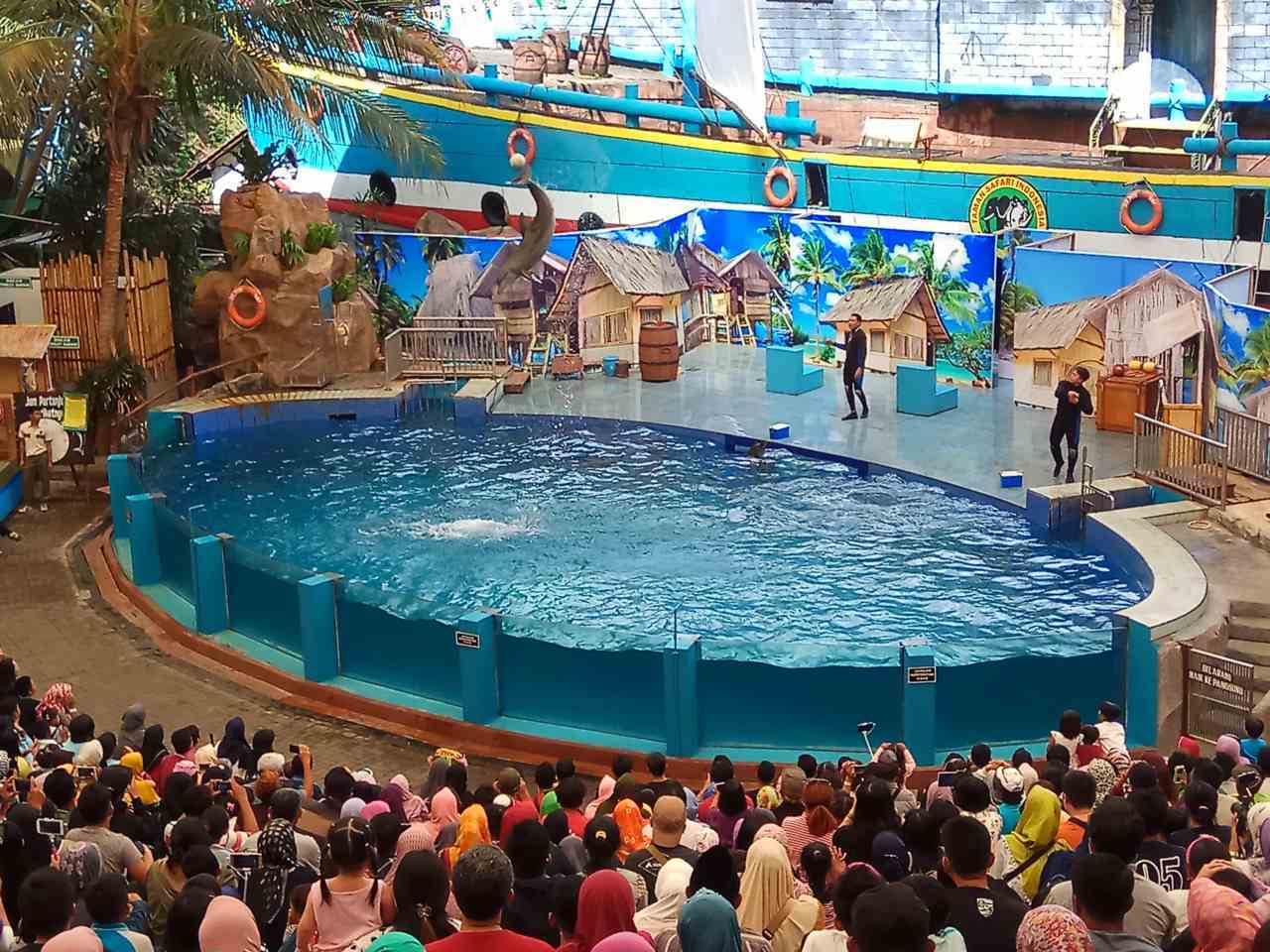 penginapan taman safari pandaan