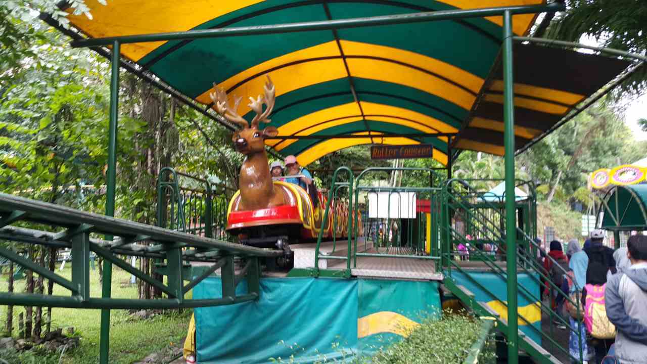 taman safari rides