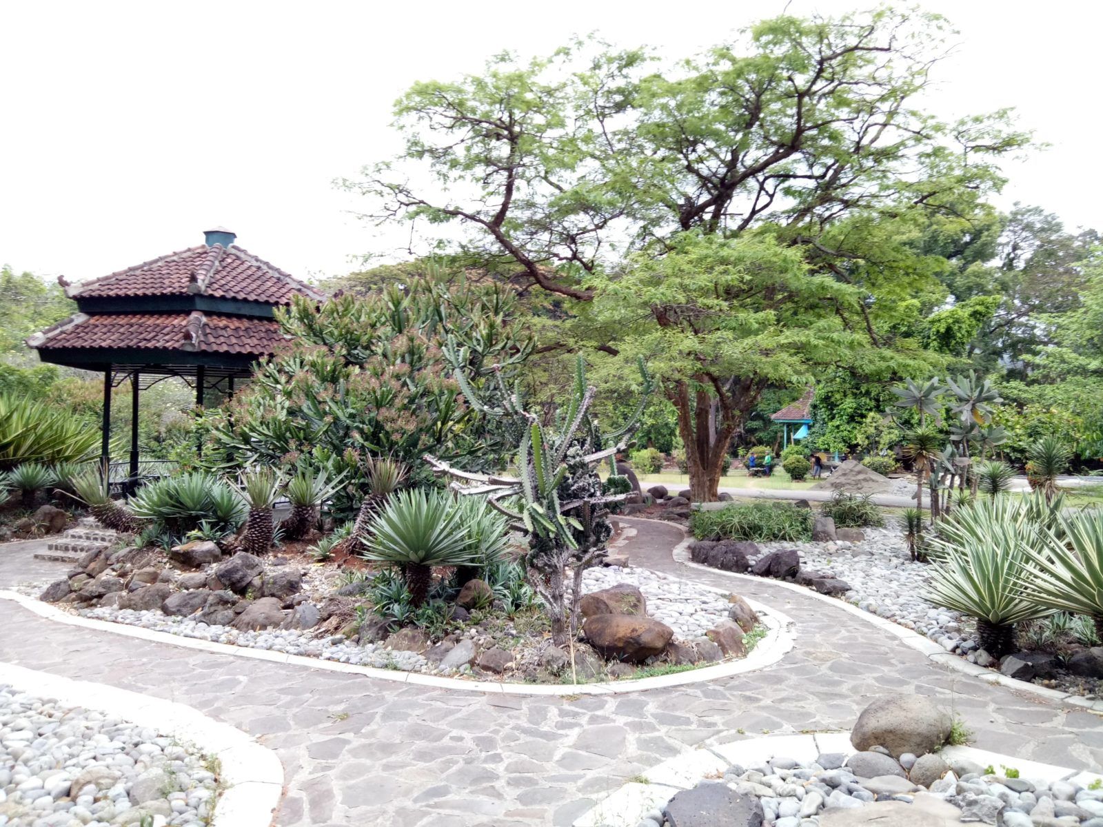 taman wisata dan edukasi kebun raya purwodadi