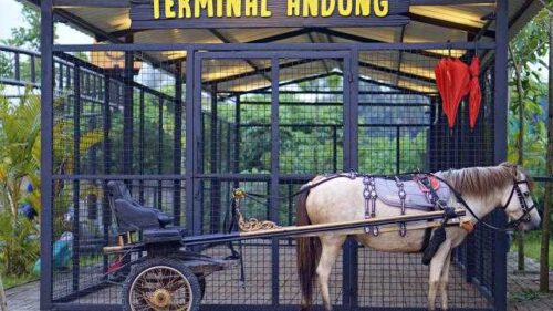Branchstro Equestrian Park Tangerang BSD