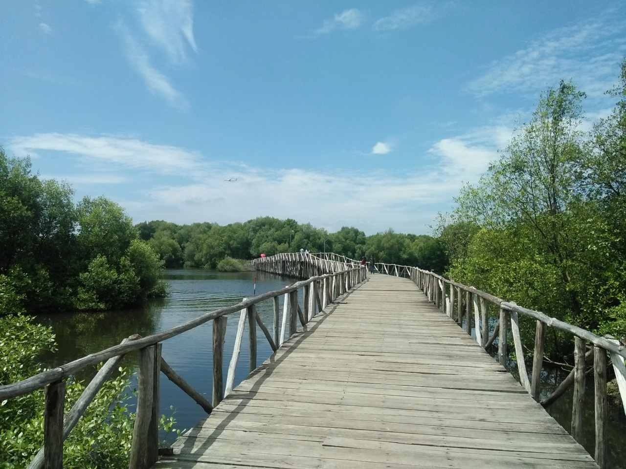 Jembatan kayu berkeliling kawasan mangrove