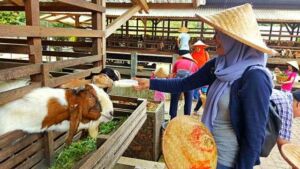 Kuntum Farmfield Nursery Bogor