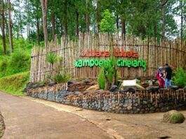 Wisata Kampung Ciherang