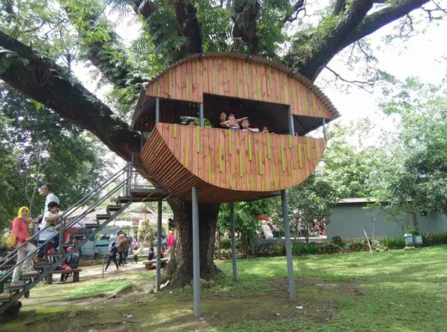 rumah pohon yang unik