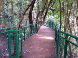 huntung foto forest walk babakan siliwangi