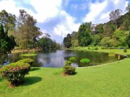 pengambilan gambar & film kebun raya cibodas