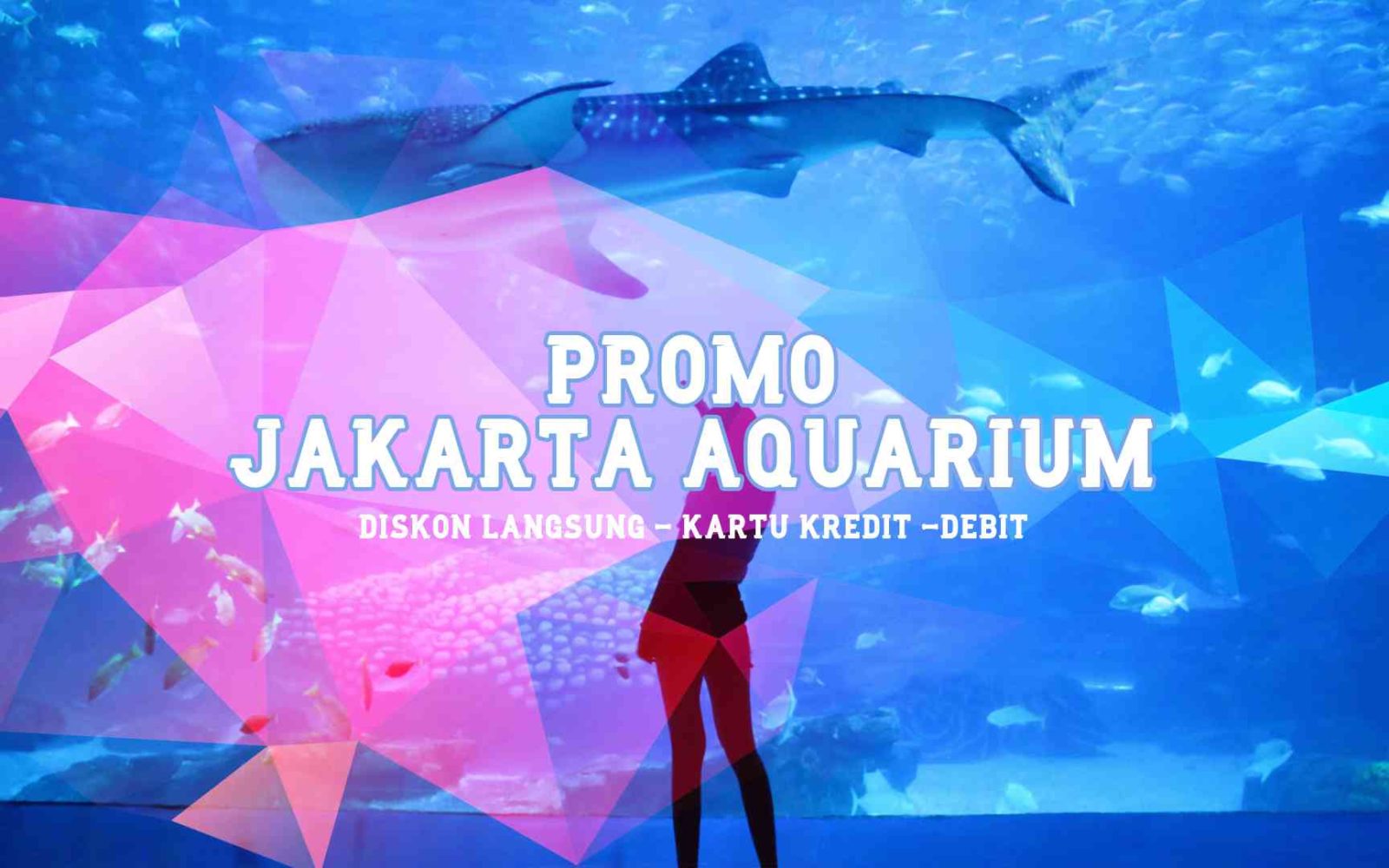 Promo JAKARTA AQUARIUM Diskon Tiket Hingga 15% - Travelspromo