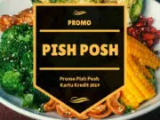Promo Pish Posh