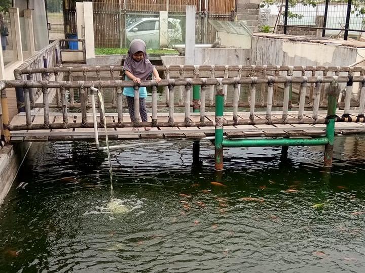 Bermain Ikan di Bird Park Palembang