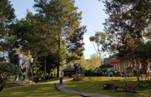 Pemandangan hijau dan asri di Taman Wisata Kaliurang