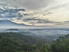 Pemandangan di Punthuk Setumbu