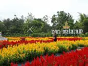 Taman Bunga di Puri Mataram