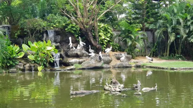taman burung di Gowa Discovery Park
