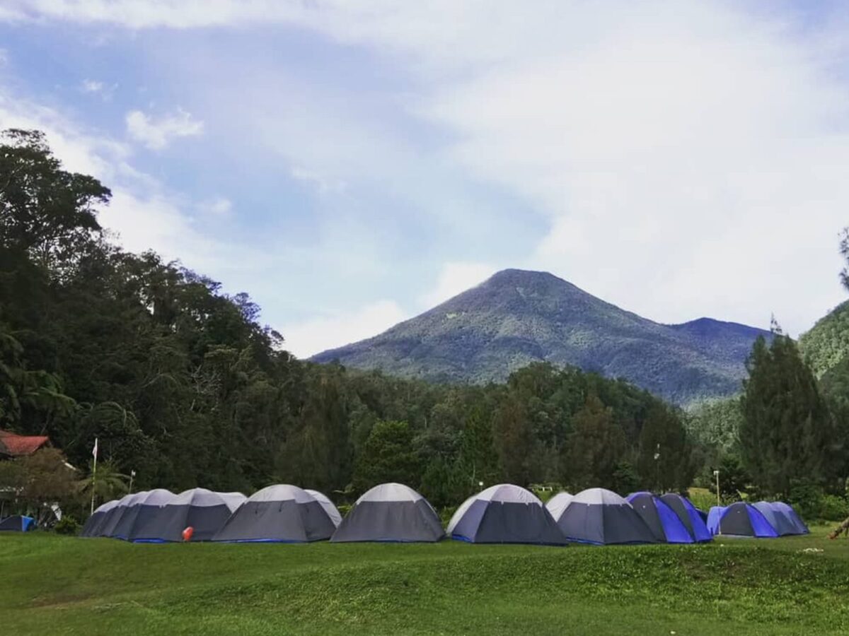 Mandalawangi Cibodas Camping Ground