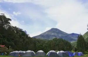 Mandalawangi Cibodas Camping Ground