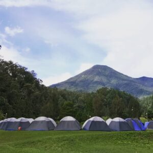 Mandalawangi Cibodas Camping Ground