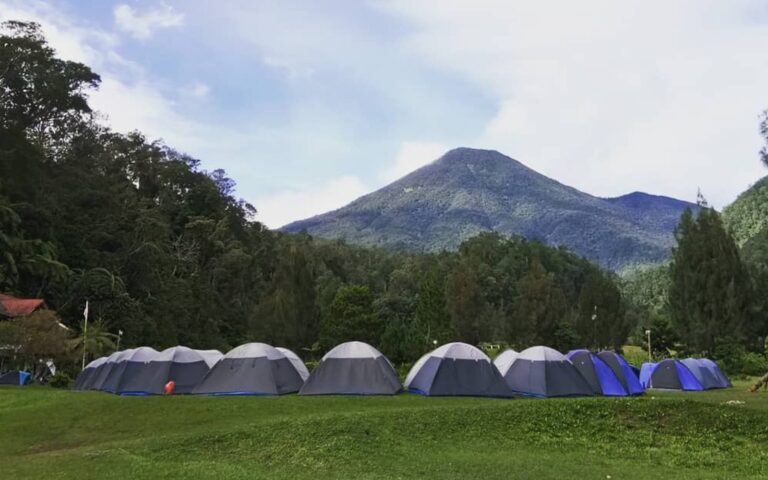 Mandalawangi Cibodas Camping Ground