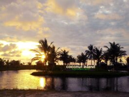 Coconut Island Carita