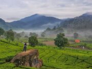 keindahan pemandagan perbukitan kebun teh rancabali