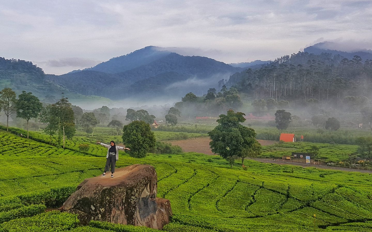keindahan pemandagan perbukitan kebun teh rancabali