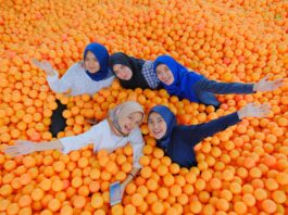 Kolom bola raksasa di Centrum Million Balls