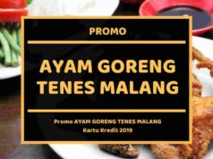 Promo Ayam Goreng Tenes Malang