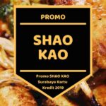 Promo Shao Kao
