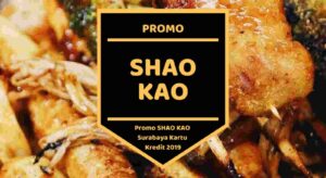 Promo Shao Kao