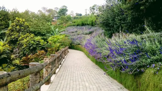 Sidewalk di Rainbow Garden Lembang
