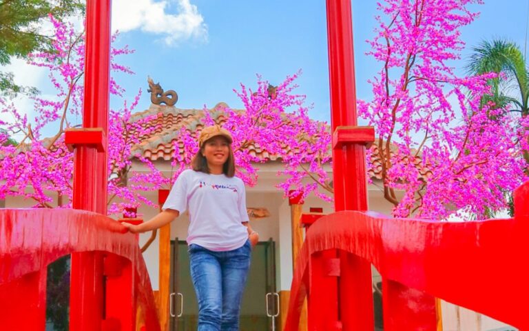Taman Jepang bunga sakura