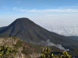 Taman Nasional Gunung Gede Pangrango