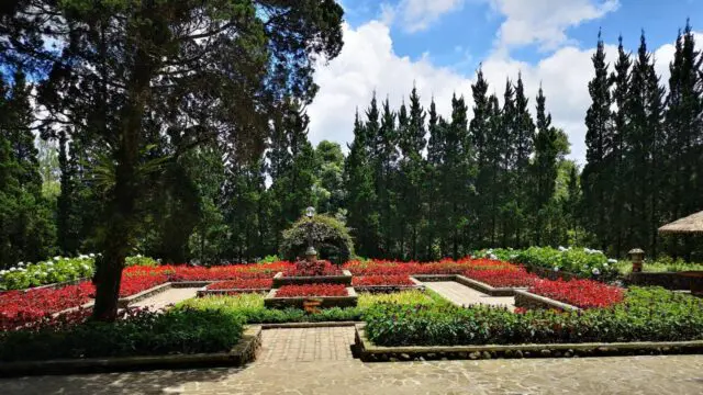 area taman bunga